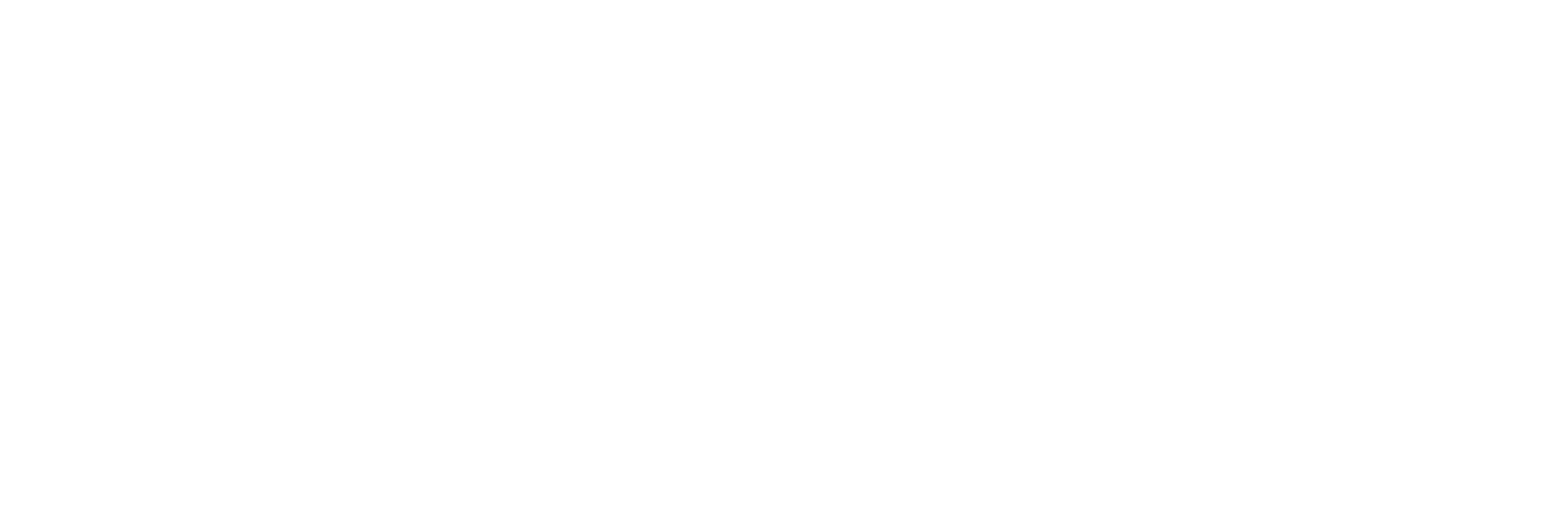 n-logo-white